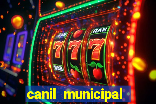 canil municipal porto alegre